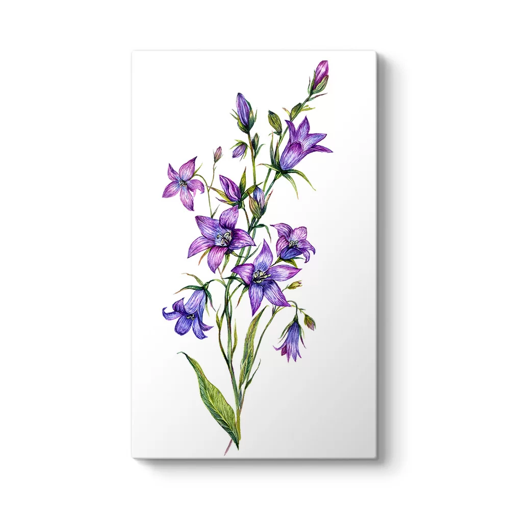 Bluebell Çiçeği Kanvas Tablo - Model 35